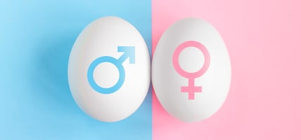 Early Signs of Pregnancy