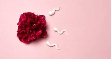 About IUI And IVF