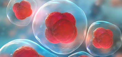 Understanding the Miracles of Your Baby's Umbilical Cord