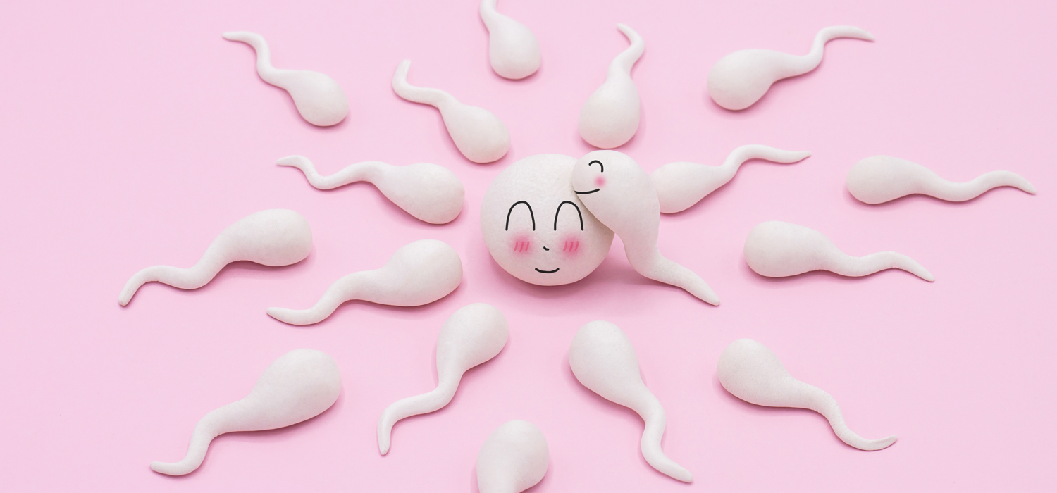 What is Preimplantation Genetic Screening?